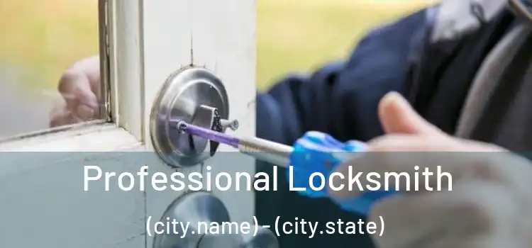 Professional Locksmith (city.name) - (city.state)